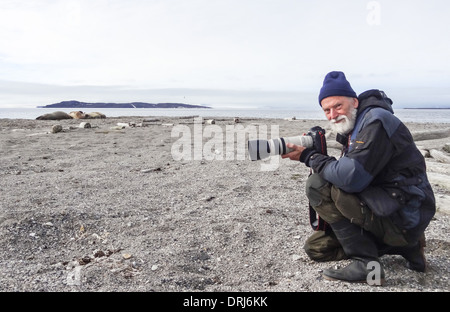 Fotograf und Walrosse, odobenus rosmarus / photographer and walruses, odobenus rosmarus