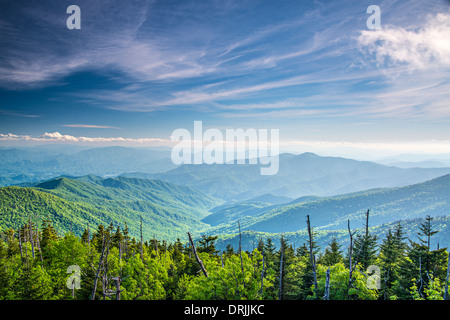 View from Clingman's Dome in the Great Smoky Mountains National Park near Gatlinburg, Tennessee.