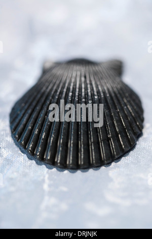 Black seashell Stock Photo