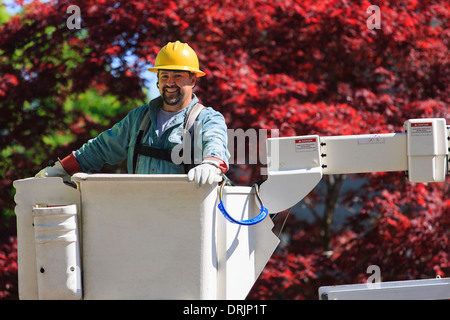 Power engineer in lift bucket wearing a safety harness and insulated gloves, Braintree, Massachusetts, USA Stock Photo