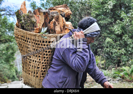 man carrying firewood into Marpha village in the Annapurna region of Nepal Stock Photo