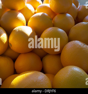 Fresh produce farmers market, Monterey California Stock Photo