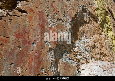Sheepeater Indian pictographs at Tombstone Rock on the Middle Fork of the Salmon River Idaho following severe vandalism Stock Photo