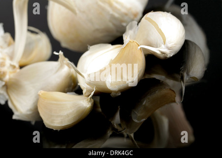 white garlic on a black background Stock Photo
