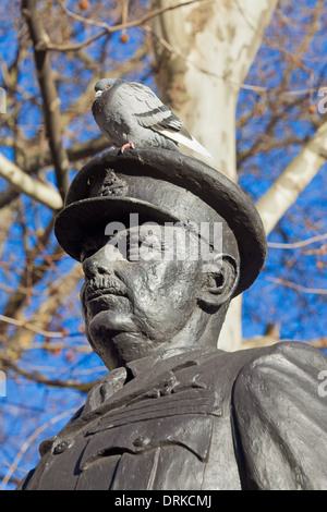 London, The Strand   A pigeon perched on the head of the Sir Arthur 'Bomber' Harris statue Stock Photo