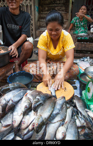 Fish in a market in Yangon, Myanmar Stock Photo