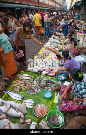 Fish in a market in Yangon, Myanmar Stock Photo