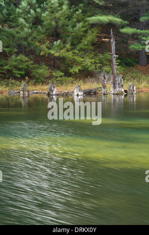 Violent winds move tree branches and skim across a lake in Killarney Provincial Park, Ontario, Canada. Stock Photo