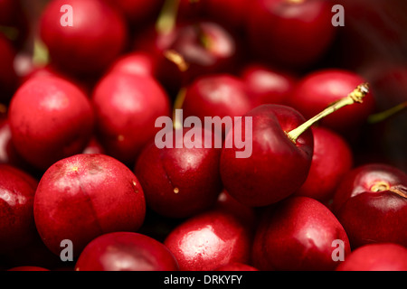 Fresh Cherries Closeup. Fruits Photo Collection. Stock Photo