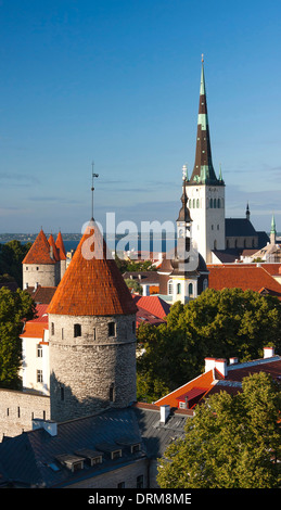 Towers of the Old Town of Tallinn, Estonia in summer Stock Photo