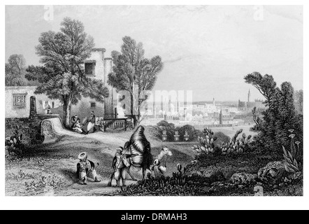 Tunis from the Saneeah Eftoor circa 1840 Stock Photo