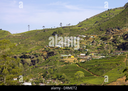 Sri Lanka tea garden mountains Stock Photo