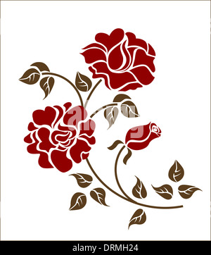 Branch of roses on a white background Stock Photo - Alamy