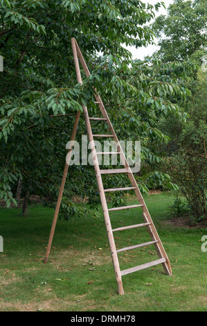 cottage garden in elsten, lower saxony, germany Stock Photo