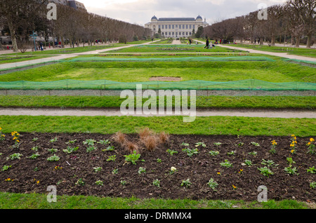 Botanical Garden, Jardin des Plantes, at Austerlitz with National Museum of Natural History in background in Paris, France. Stock Photo