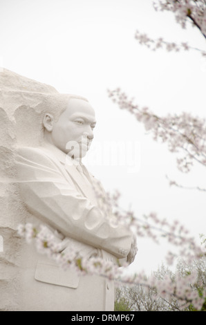 WASHINGTON DC, USA - Dedicated on October 16, 2011, the MLK Memorial commemorates Civil Rights leader Dr. Martin Luther King Jr. It falls on a direct line between the Lincoln Memorial and the Jefferson Memorial and situated on the banks of the Tidal Basin. The centerpiece is a stone statue sculpted by Lei Yixin on which the figure of Dr. King emerges from a block of stone called the Stone of Hope. Each spring the cherry blossoms on the tidal basin burst into bloom. Stock Photo