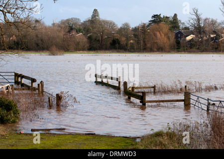 Flooded farmland near the River Avon, Barford, Warwickshire, UK Stock Photo