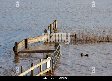 Flooded farmland near the River Avon, Barford, Warwickshire, UK Stock Photo