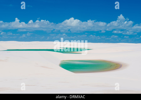 Green rainwater ponds trapped in white dunes, Lencois Maranhenses National Park, Brazil, Atlantic Ocean