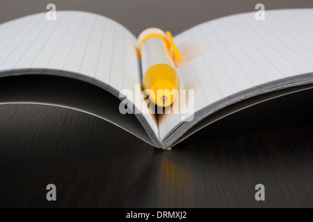 Pen on a notebook on the table Stock Photo