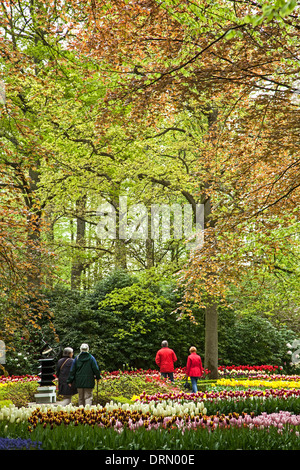 People among trees and flower displays, Keukenhof Gardens, near Lisse, Netherlands Stock Photo