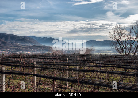 Panoramic view of Chiasso and the mount Orfano from Switzerland, Europe Stock Photo