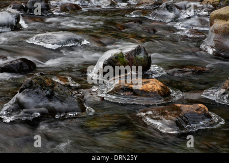 Rimed Rocks WASHINGTON - Ice rimed rocks in the South Fork Snoqualmie River near ...