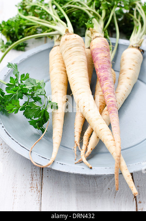 Parsley root Stock Photo