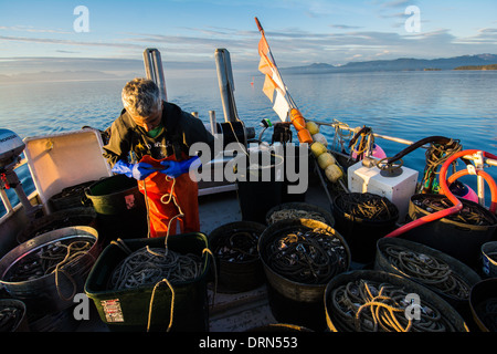 Fisherman laying out longline for Black Cod commercial fishing, Chatham Strait, Southeast Alaska, USA Stock Photo