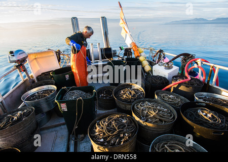 Fisherman laying out longline for Black Cod commercial fishing, Chatham Strait, Southeast Alaska, USA Stock Photo