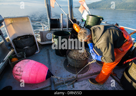 Fisherman laying out longline for Black Cod commercial fishing, Chatham Strait, Southeast Alaska, USA Stock Photo