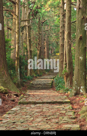 Daimon slopes on the Kumano Kodo in Yoshino-Kumano National Park Stock Photo