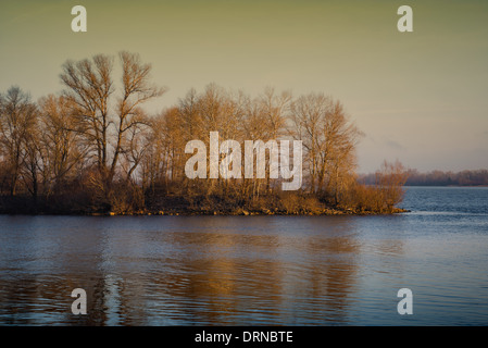 Early morning with trees reflection on the river in winter Stock Photo