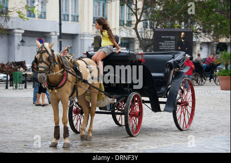 Horse and carriage available for hire, Havana, Cuba Stock Photo