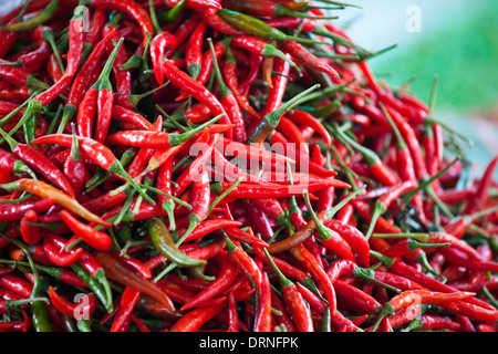 Red chili in Bangkok, Thailand Stock Photo