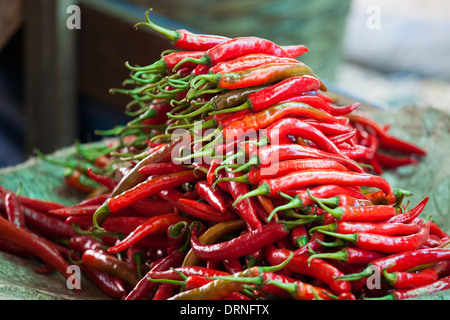 Red chili in Bangkok, Thailand Stock Photo