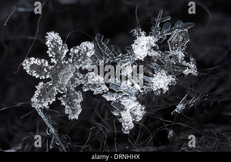 Extreme macro of snowflake crystals on hairy glove Stock Photo