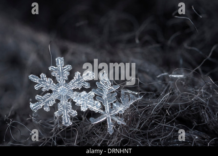 Extreme macro of snowflake crystals on hairy glove Stock Photo