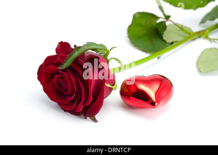 Rose and heart on the isolated white background Stock Photo