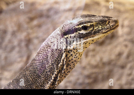 argus monitor with serial