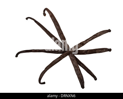 vanilla stick  isolated on white Stock Photo