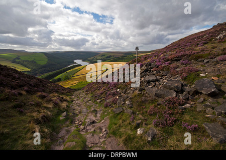 Looking North along the Derwent Valley from Whinstone Lee Tor in the Peak District National Park. Stock Photo