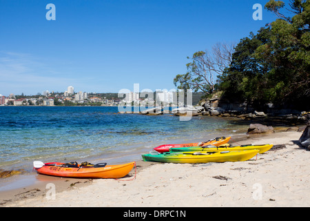 Reef Beach North Harbour looking across to Manly with kayaks on sand Sydney New South Wales NSW Australia Stock Photo