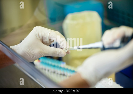 Researcher Experimenting In Laboratory Stock Photo