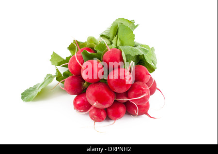 Red radishes isolated on white Stock Photo