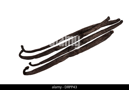 vanilla stick  isolated on white Stock Photo