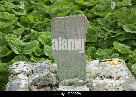 Cross-carved pillar from a sixth century monastery, Inishmurray island, County Sligo, Ireland. Stock Photo