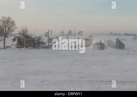 Wind whipped blown snow envelops a farm during a ground blizzard during extreme cold winter weather Stock Photo