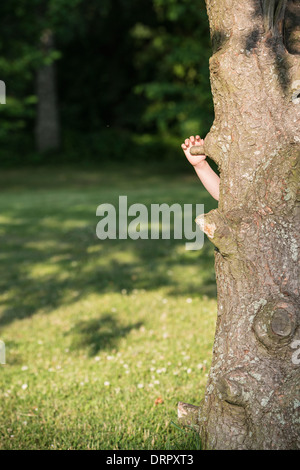 Hand of little girl reaching for a grip to climb up a tree Stock Photo