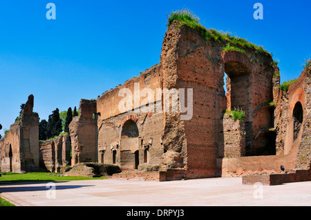 a view of the remains of the Baths of Caracalla in Rome, Italy Stock Photo